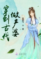 猫咪大战