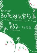 美景之屋2在线观看完整版在线播放