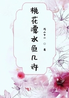 赤裸特工