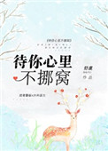 摸逼逼综合网
