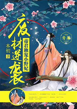 戴路视频