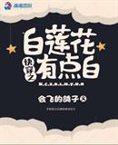 锦心似玉在线观看免费观看完整版