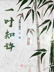 樱花动漫官网官方樱花网站入口