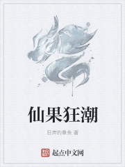 鸡米饭全部小说