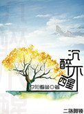 小说APP