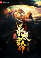 无翼鸟本子