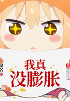 奥特格斗进化0下载