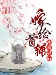 奢侈折火一夏小说