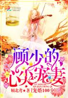 失落的大陆免费观看