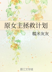 雷电将军安慰部下插画