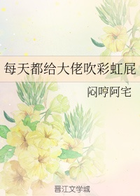 少年大宝风流