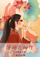 秘密教学50集免费阅读