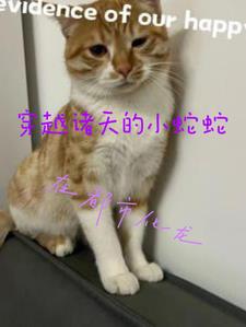 林羽江颜最快最新章节列表