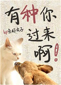 蝉翼高清完整版