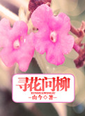 剧情图解动图gif