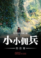 电视剧当家主母多少集