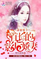 王动wanimal全套下载