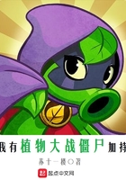 q2024影视