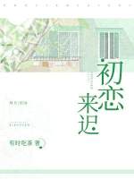 朱重八真命天子电视剧全集免费