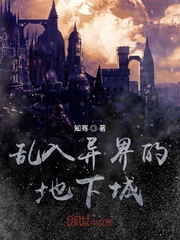 蓝江传之反飞组风云