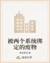 2024双十一直播
