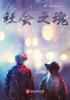 电视剧当家主母多少集