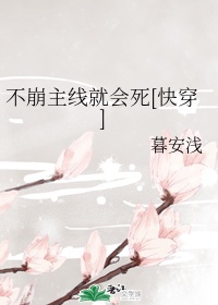 兰斯寻找小光