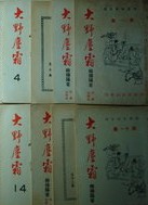 91中国夫妻homemade