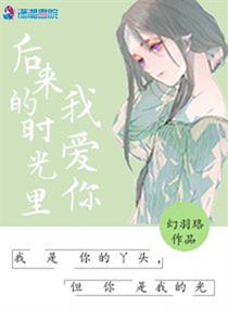 假面骑士风暴英雄