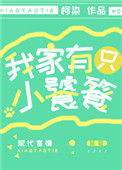 午夜福利合集1000在线