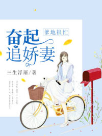 都市少帅txt全集下载