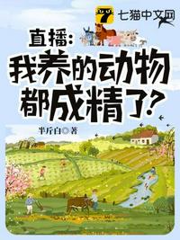 汉化エロマンガ同人志