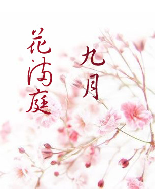 2024韩国剧情福影视