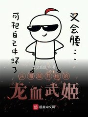 西北有高楼小说