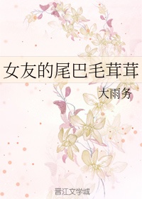 猫咪看片app