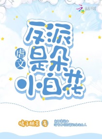 少年啊宾