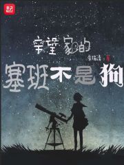 原神雷电将军本子