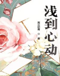 肖奈高hnp