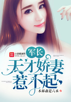 甲午之华夏新史