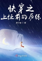 绝密突袭在线观看