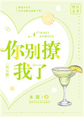 张柏芝艳阳门无删照片图组