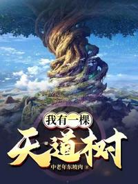 加油妈妈电视剧全集在线观看免费2024