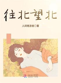 宁静小说