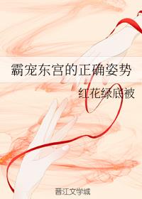 打扑克免费高清视频
