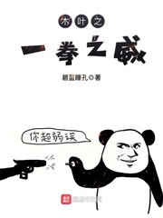 汉库克h