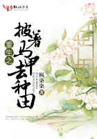 宅福利一有番号一无圣光