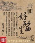2024韩国轮理手机在线