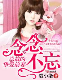 典雅倩影