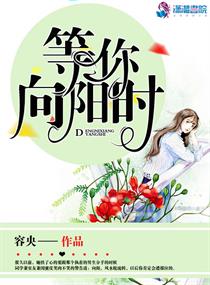 少龙