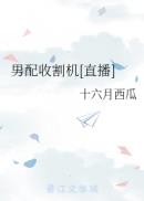 樱桃视频app在线18